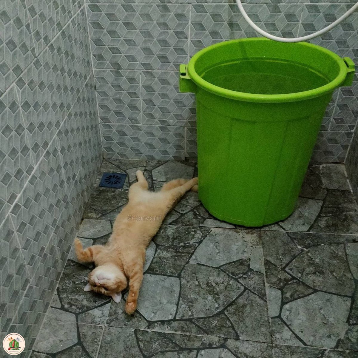kochengfs's tweet photo. kcg! sudah mulai terbesit di pikiran untuk adzan sendiri https://t.co/BInN4BI6Xh