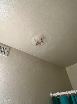 arclamackug's tweet photo. 🏗️Experiencing a ceiling leak due to excessive heat? Don't let it dampen your space!
Trust us, we offer expert solutions to combat heat-induced leaks, ensuring your structures stay resilient & comfortable year-round.
#CeilingLeak #HeatproofSolutions #ArclamackUG https://t.co/ypAvohCl5A