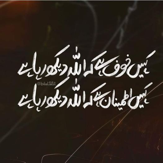 Tauseef karim tweet media