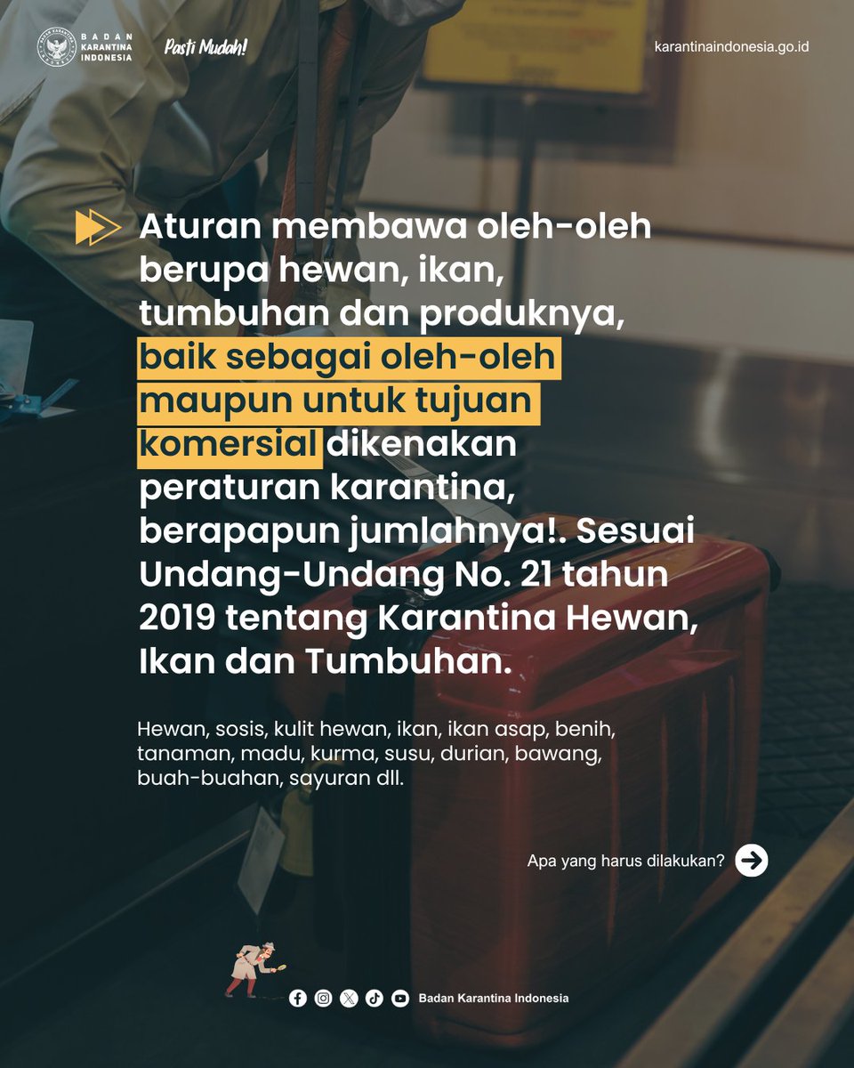 BarantinRI's tweet photo. Bawa Oleh2 dari LN, Gini Loh Aturannya! (baca sampai slide terakhir)

Lagi ramai nih sobatQ tentang aturan barang bawaan dari luar negeri. 

#KarantinaIndonesia #Oleholeh #BawaanPenumpang #luarnegeri #bagasi https://t.co/uuPFQouVqD