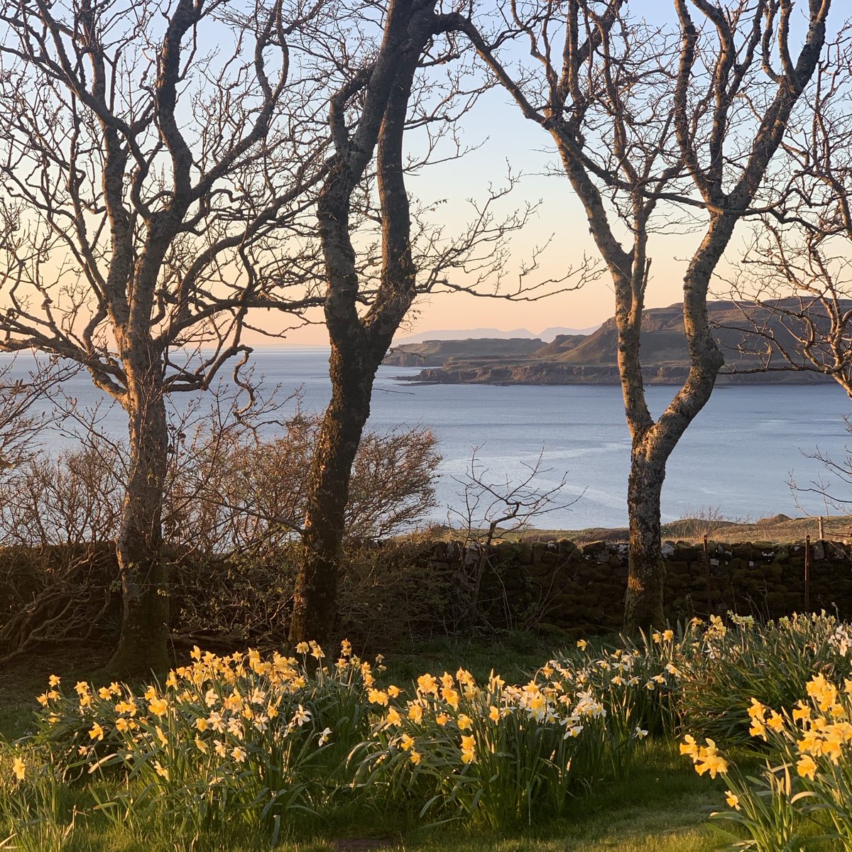 We are offering 10% off on the last remaining spaces during the month of April. Check treshnish.co.uk//make-a-bookin… for dates and email me so I can make the booking for you and apply the discount. #isleofmull #greentourism #naturefriendlyfarming
