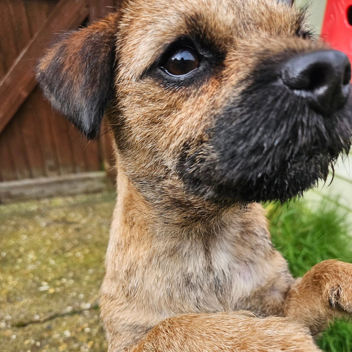 formerly Tilly BT, but now with Maggie tweet media