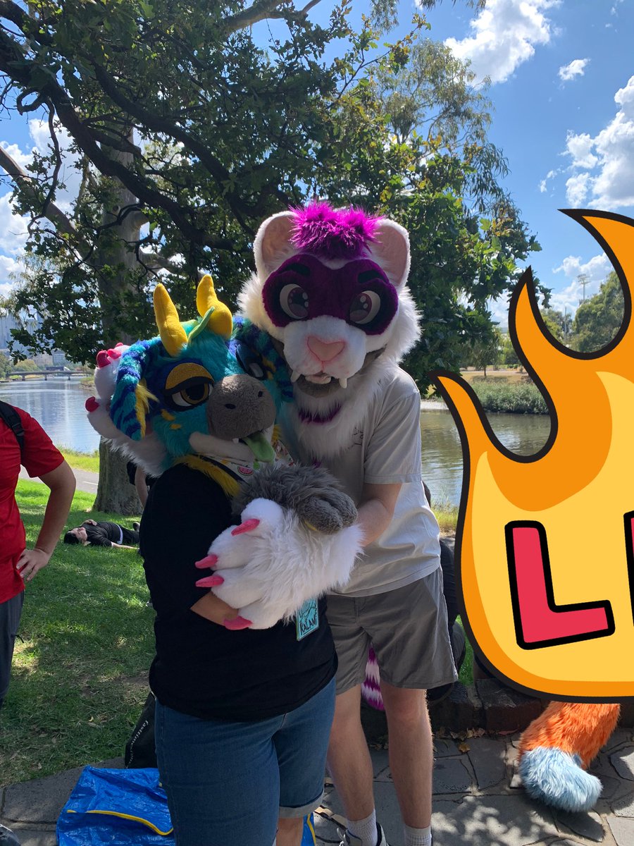 🩵🐉🐾🌿What’s this? Kalani Dutchie being a very playful Dutchie to her Sabertooth tiger bro TYGON! at the south Yarra pre con after meet it was fun seeing you and others again! :3🌿🐾🐉🩵 #FursuitEverday #DutchieWES 

📸:<a href="/rowdy_drusky/">ドラスキ</a> 
🐅:@maximize109