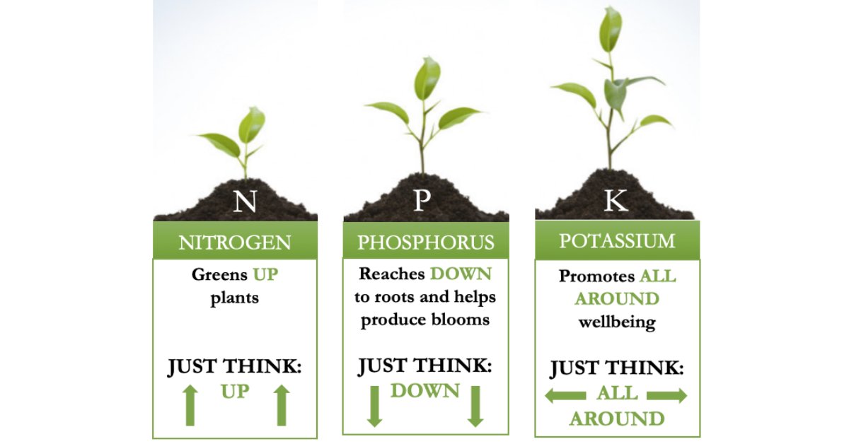 NPK Fertilizer Types
Read more mumerjaved.com/?p=341
#revolutionwithagriculture mumerjaved.com #Agriculture #crops #Plants #farming #farmers #agriculturalscience  #NPK #Fertilizer #NPKExplained #NPKFertilizer #CompleteFertilizer #CropNutrition #FertilizerTypes #NPKRati