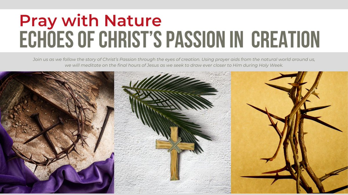 This #HolyWeek, we will be embarking on a digital pilgrimage of #prayer, using different items of nature to help us reflect and meditate on each step of Christ's journey to the cross. Find out more: 👇 laudatosicentre.org.uk/general/pray-w… #praywithnature