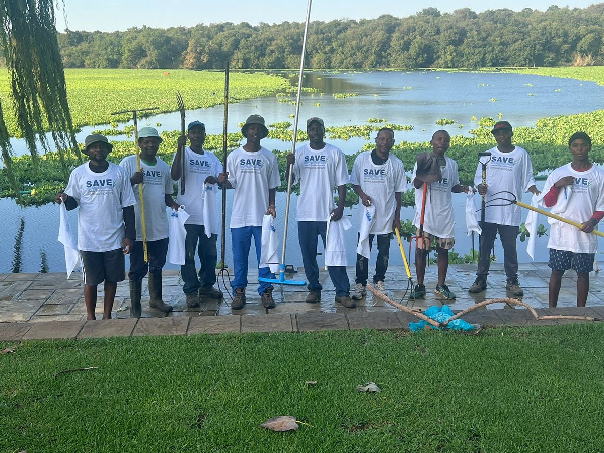 Save (@savethevaal) on Twitter photo 