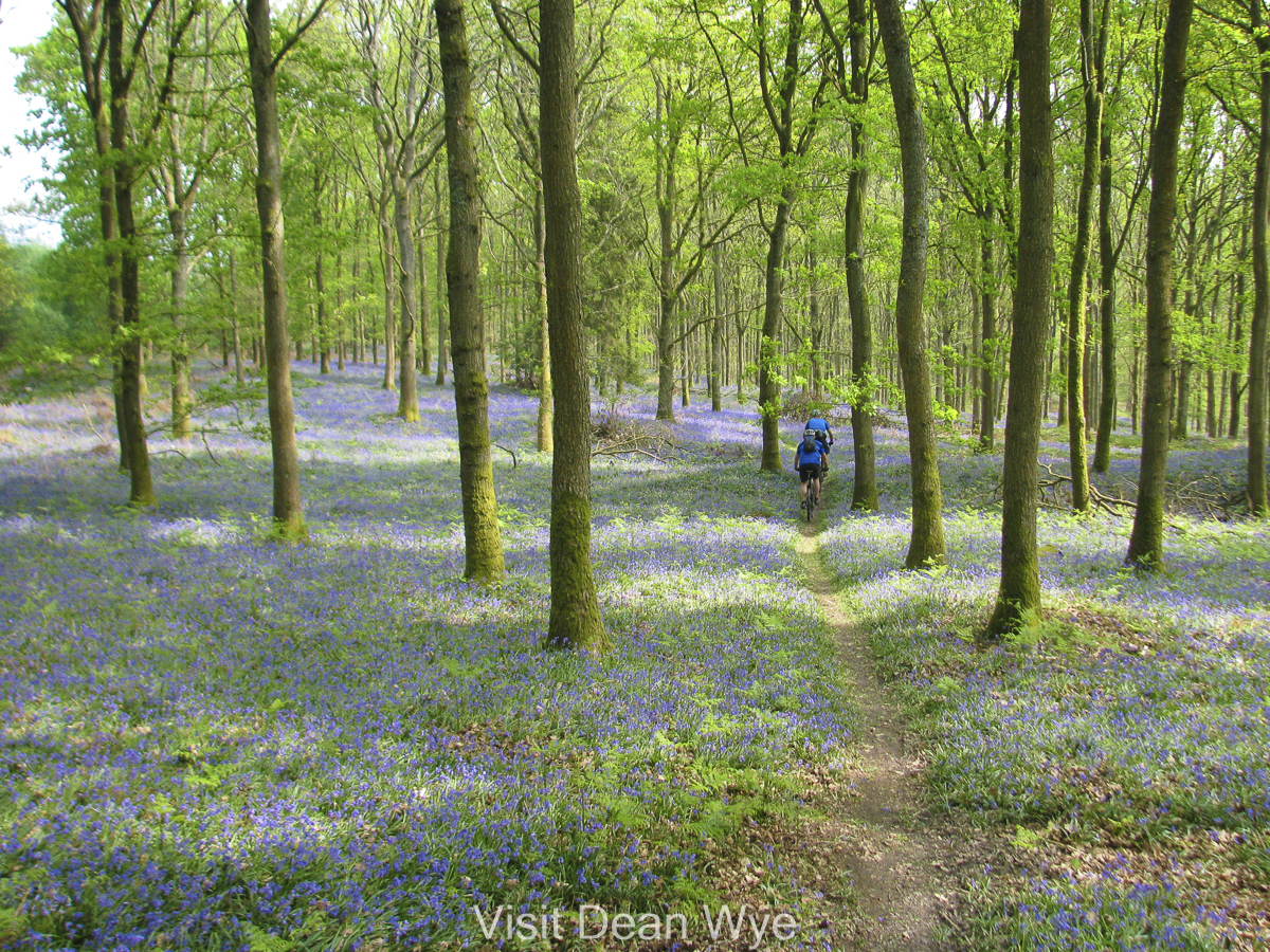 Celebrate the first day of spring! 🌸 Brighter days are blossoming in the Forest of Dean &amp; Wye Valley. Say goodbye to winter and welcome the return of sunshine with these springtime adventures: visitdeanwye.co.uk/inspiration/se…

#VisitDeanWye #Spring #Springtime #GetOutdoors #NewBeginnings