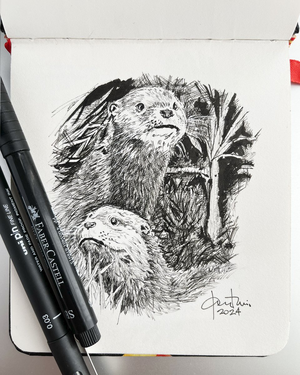 ineditoGM's tweet image. A couple of European otter (Lutra lutra) from the Naturalized Animal Center of Villarreal de San Carlos. Monfragüe National Park.
—
Pareja de nutrias europeas (Lutra lutra) del Centro de Animales Naturalizados de Villarreal de San Carlos. Parque Nacional de #Monfragüe.

#nutria
