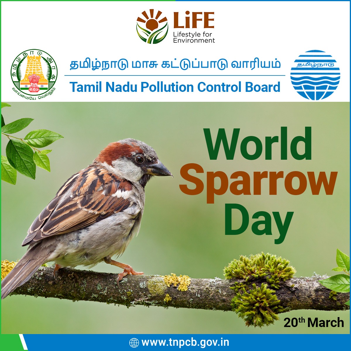World Sparrow Day is observed globally on March 20th each year to raise awareness about conserving sparrows and their habitats. Pollution is also one of the factors in the significant decline of these birds. #TamilNaduPollutionControlBoard #TNPCB #WorldSparrowDay #ProtectNature