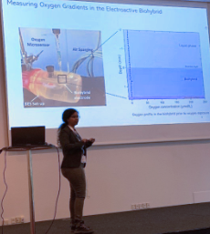 Big congratulations @vramya90 for winning a 3-year postdoc grant from the @novonordiskfond! 👏🙌 Ramya will bring power to Ammonia by unleashing the Power of Microbes to Produce Green Ammonia using Bio-Electrochemical Hybrids🦠⚡️ #GreenEnergy #electrochemical #microbiology