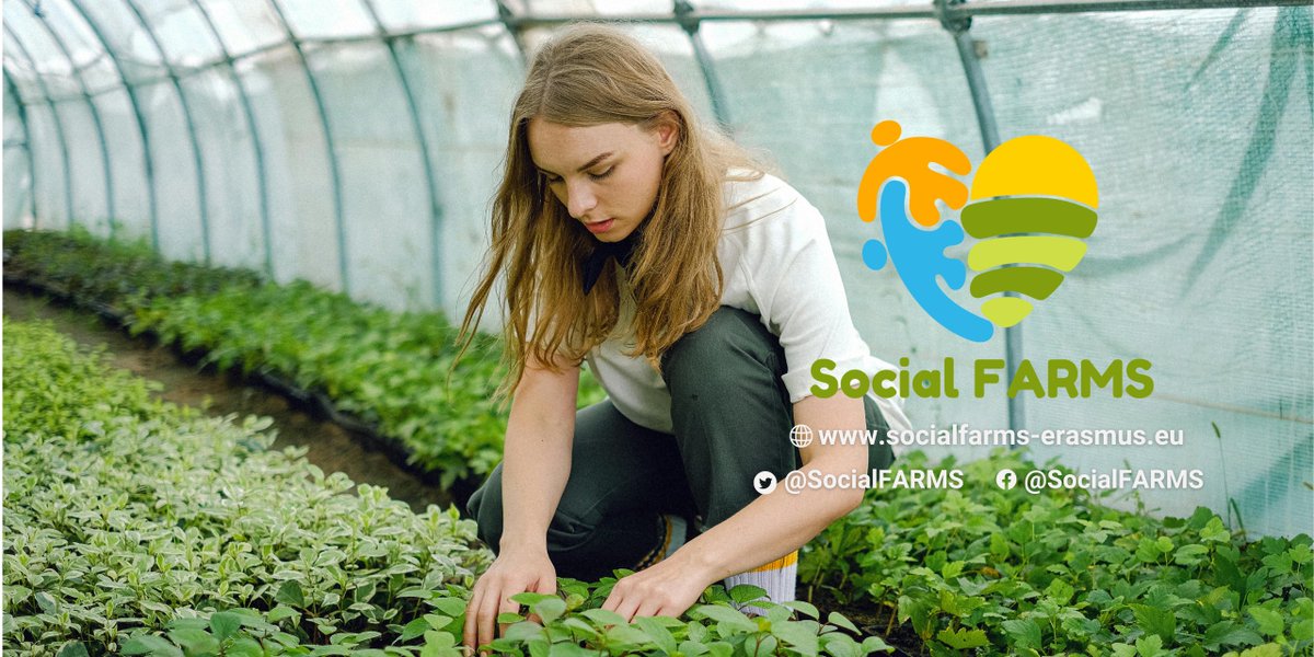 🇳🇱 The Netherlands has 1200 care farms with 40,000 participants.  👩🏻‍🌾 They offer diverse services like care-education arrangements.   Despite strong organisation, they face the challenge of maintaining unique qualities amid rapid growth. 🌱 
 
Read ➕ bit.ly/4aceSmg