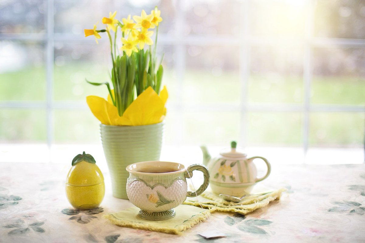 Life felt grey and daunting. Then lightened up when yesterday when Maria, one of our longterm Members, rang to explain she had made a donation towards biscuits and bunch daffodils for the team.  We all felt the love, and the day felt easier immediately.