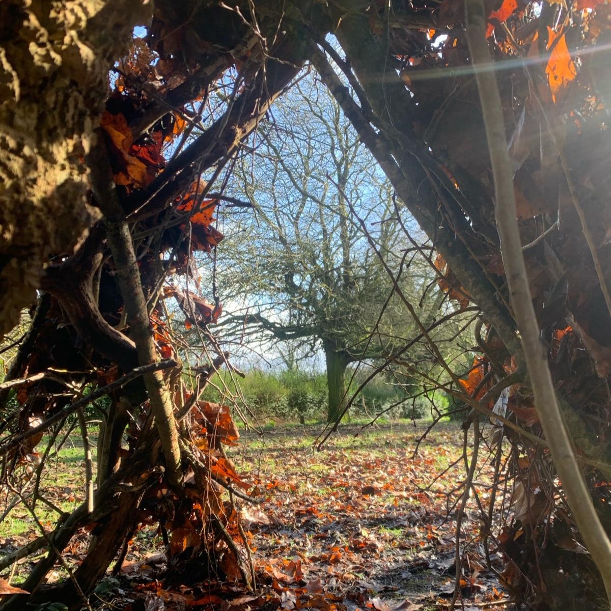 Join <a href="/MetalLiverpool/">Metal Liverpool</a> artist in residence <a href="/B4Biodiversity/">Andrea</a> Sat 23 Mar for a FREE Dens of Sanctuary workshop

Learn about animals &amp; plants in #WavertreeBotanicPark &amp; build dens! 🌳

All ages welcome, lunch provided 🥪

📧 jon.davies@metalculture.com 
#PictonPlay #CreativeCommunities
