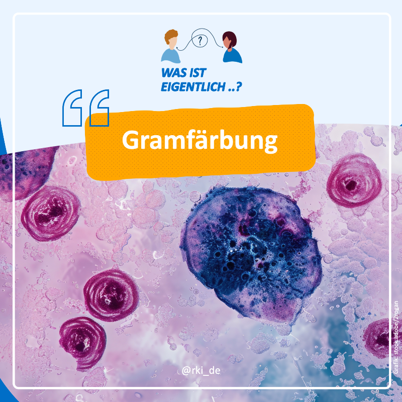 rki_de's tweet photo. Wie werden #Bakterien klassifiziert und warum ist das wichtig?

Auf diese Frage liefert die #Gramfärbung einige Antworten. Ausgangspunkt des Verfahrens: die Bakterienzellwand.

#WasIstEigentlich Gramfärbung, wie funktioniert sie und was sagt sie über die Bakterien aus?