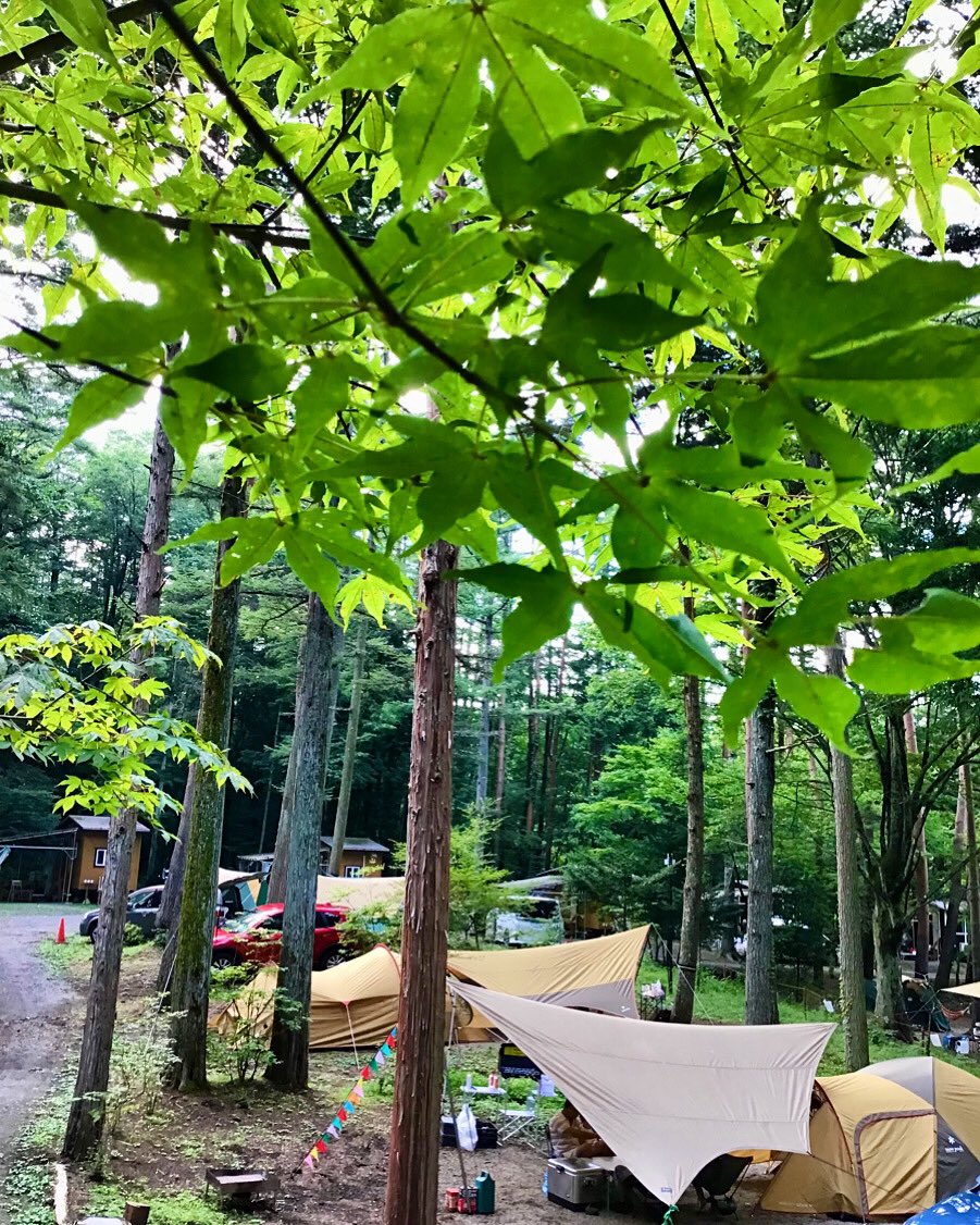 もう少しで春☘️です♪
4月1日以降のご予約受付を開始いたしました。
春キャン🏕️は富士満願ビレッジでどうぞ✨

#キャンプ #キャンプ好きな人と繋がりたい #アウトドア #山梨県