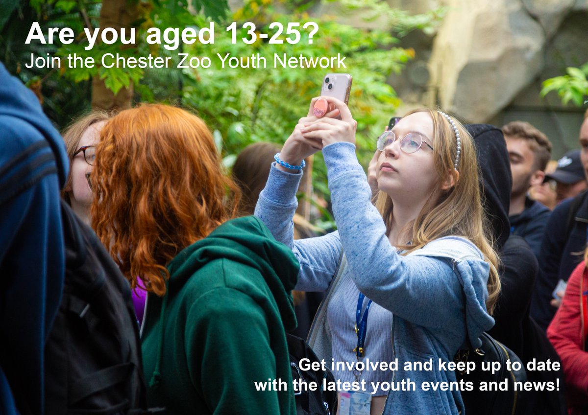 Calling teachers, parents & young people📢 Do you know someone aged 13-25 who's passionate about conservation, but isn't sure how to get involved? We’ve started a new @chesterzoo Youth Network to help keep them up to date with latest youth events & news chesterzoo.org/youth-network