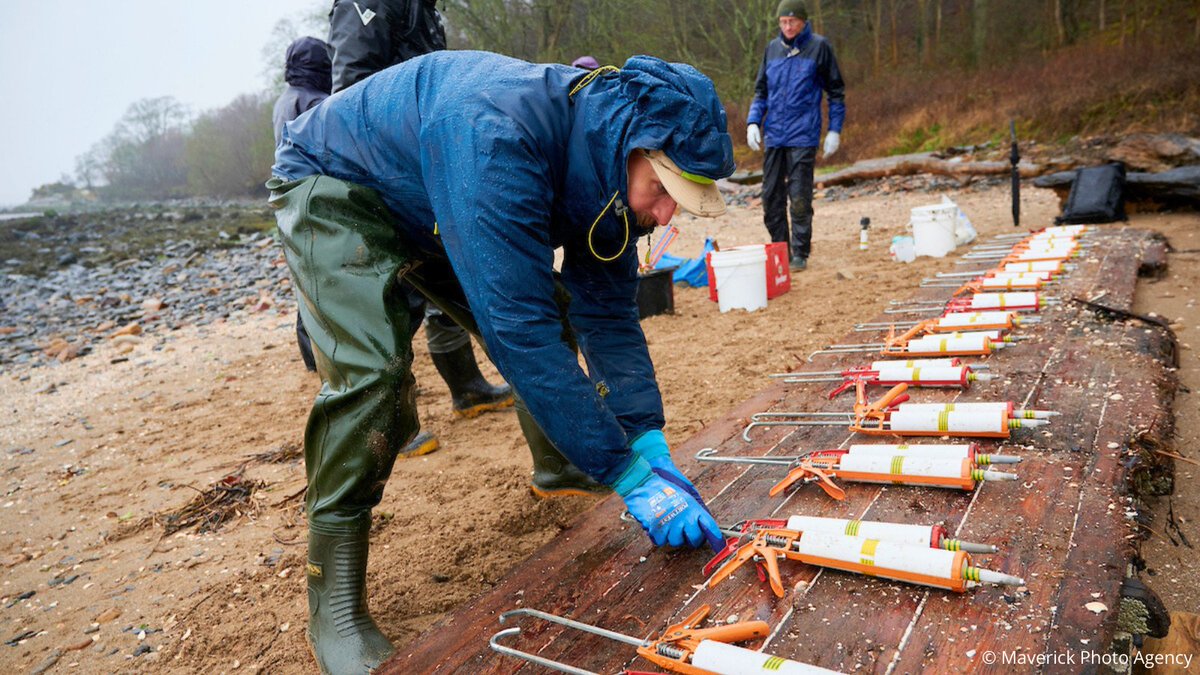 Together with 95 community volunteers, #RestorationForth has planted 135,000 seagrass seeds in the Firth of Forth this month! 🎉 A HUGE thank you to all the passionate and dedicated volunteers for making this project happen. 👏