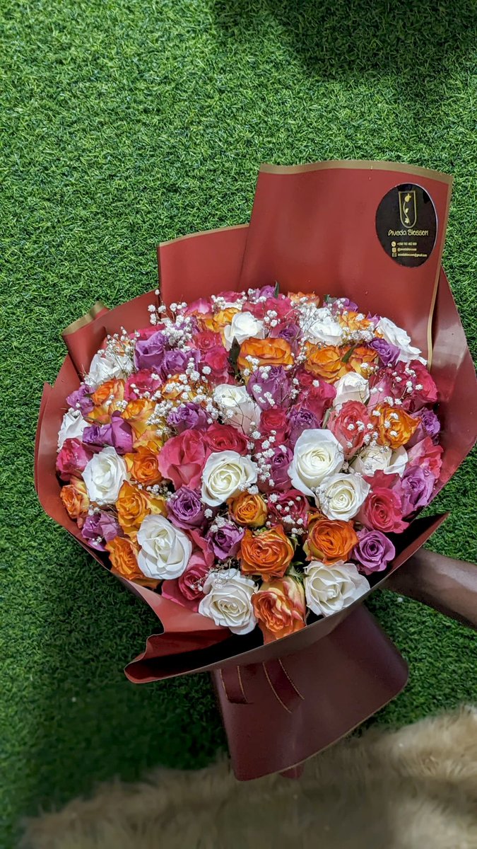 avedablossom's tweet photo. Don’t say “Have a beautiful day”.., send her a colorful one instead and thank us later!..💐 #avedablossom , 
Call / text on whatsapp: 0785161503 to place your order, or visit our website: https://t.co/t27mOg4J7a and IG: avedablossom .
Thank you https://t.co/zi0yXnQ4hq