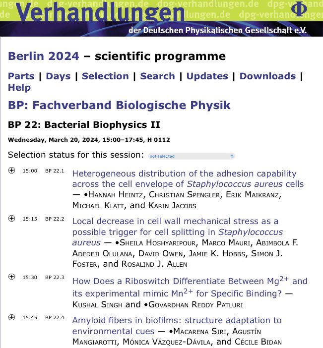 I am excited to present how environmental cues affect amyloid fibers in bacterial biofilms today at #DPG2024 @TUBerlin. A work done with @c_bidan, in collaboration with @agumangia at @MpiciPotsdam 

Don’t miss it! 🧫🧪