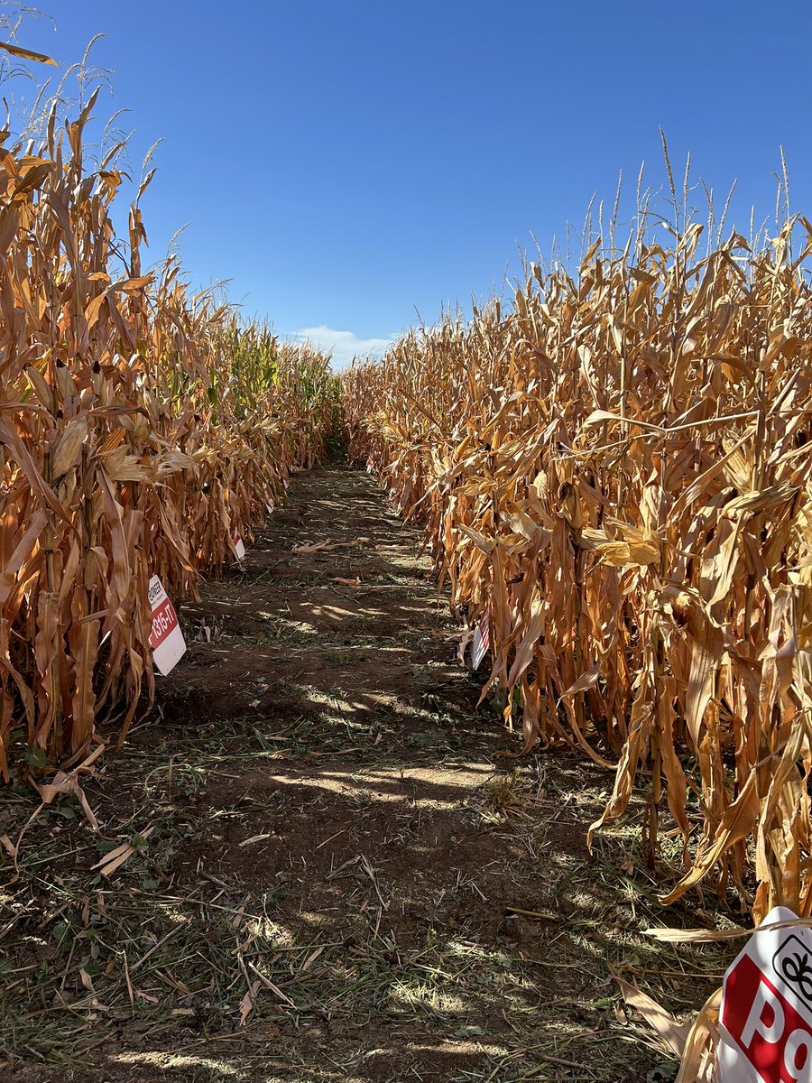 Tim Lovell tweet media