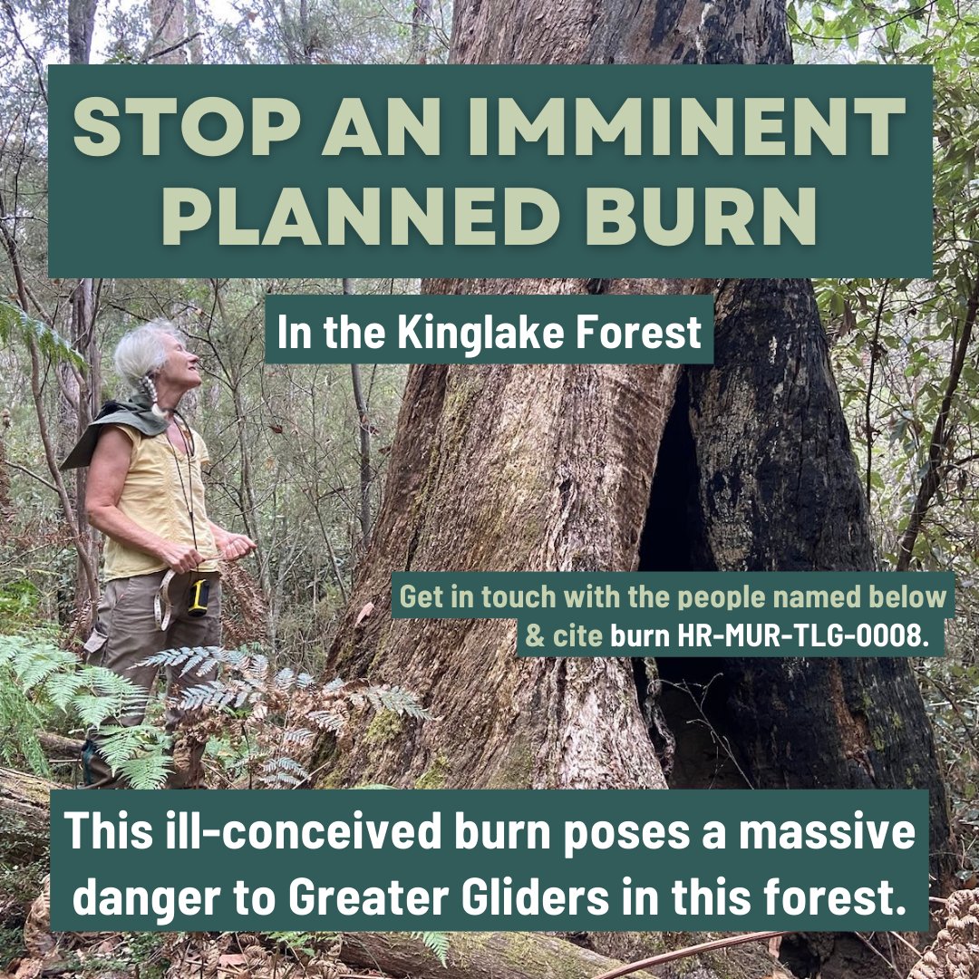 alliance_forest's tweet photo. HELP STOP AN IMMINENT #PlannedBurn near #Kinglake

Support Kinglake Friends of the Forest Inc by contacting the people on the third tile!

#ProtectNativeForests https://t.co/jFrW6wY1U7