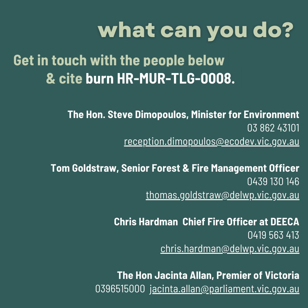 alliance_forest's tweet photo. HELP STOP AN IMMINENT #PlannedBurn near #Kinglake

Support Kinglake Friends of the Forest Inc by contacting the people on the third tile!

#ProtectNativeForests https://t.co/jFrW6wY1U7