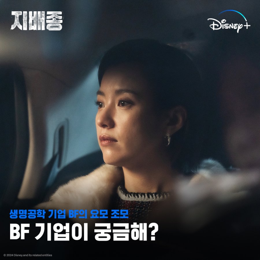 luvvvvpp's tweet photo. I will literally watch anything and everything if Han Hyo Joo is in it. 
#DisneyPlus #disneykr #HanHyoJoo #BloodFree https://t.co/FKcf1hbak0