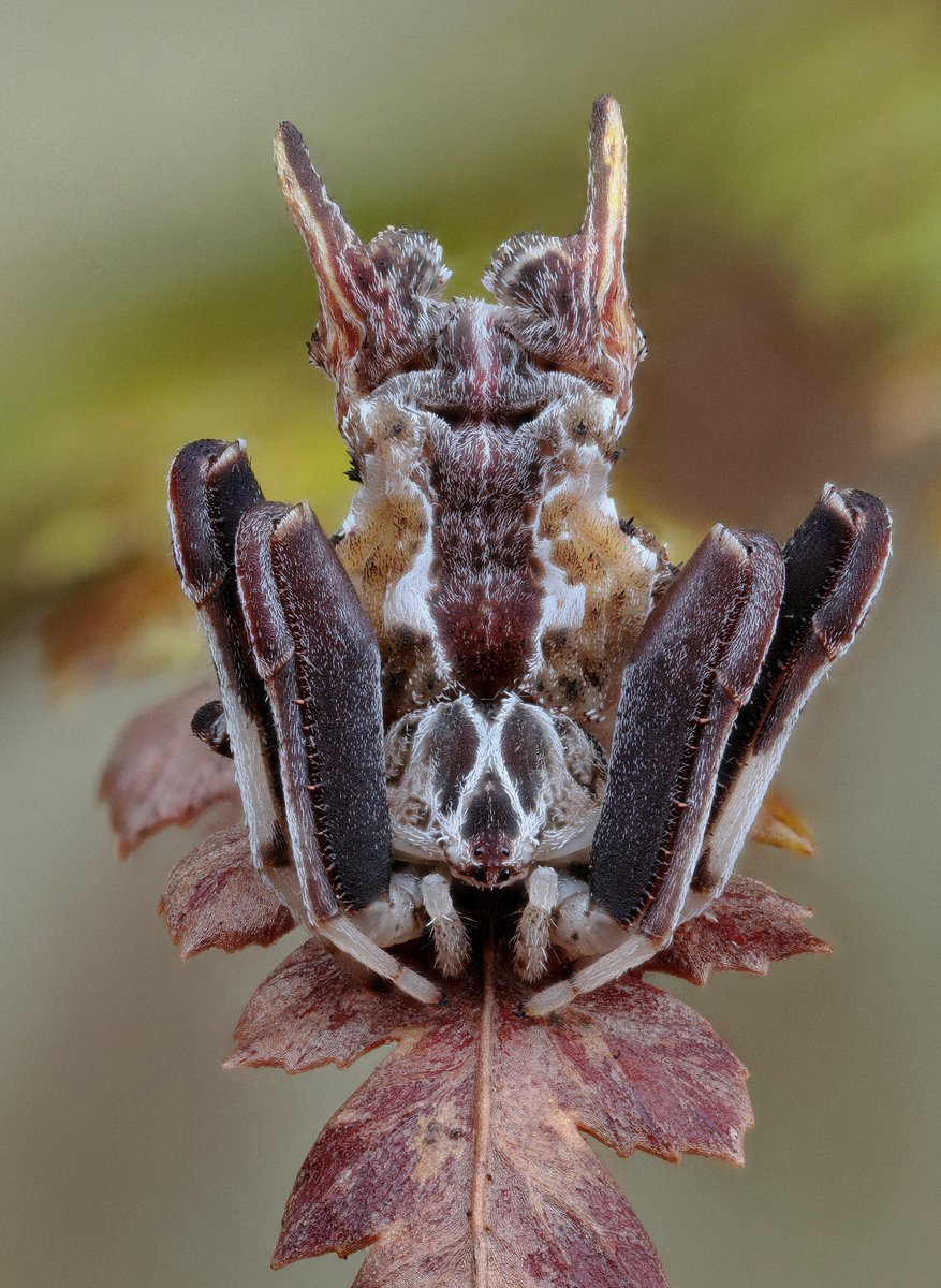 Michael Doe tweet media