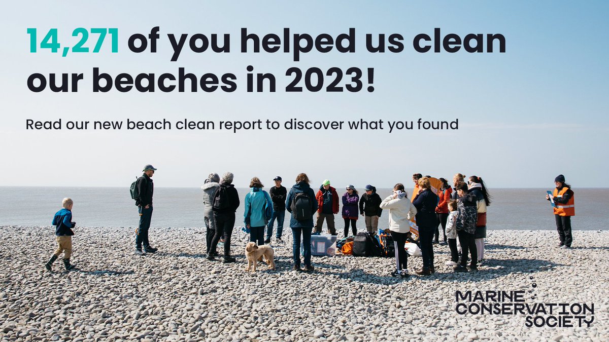 Our State of our Beaches 2023 report is out today! What is the state of our beaches? What litter did you find the most of? Are things getting better or worse? 🌊 Take a look at the report to find out more👇 mcsuk.org/what-you-can-d… 1/4