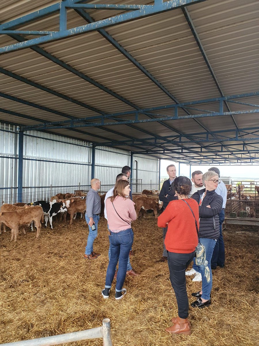 PoleAnimal_Coop's tweet photo. La semaine dernière se tenait à #Madrid les Rencontres 🇫🇷🇪🇸 du Bétail. L'occasion d'échanger avec nos homologues sur les maladies vectorielles et le #BEA dans une approche prospective de l'élevage 🐮🇪🇺.
@lacoopagricole y était représenté notamment par @PhilippeDUMAS42. https://t.co/Q0DVzxiOLR