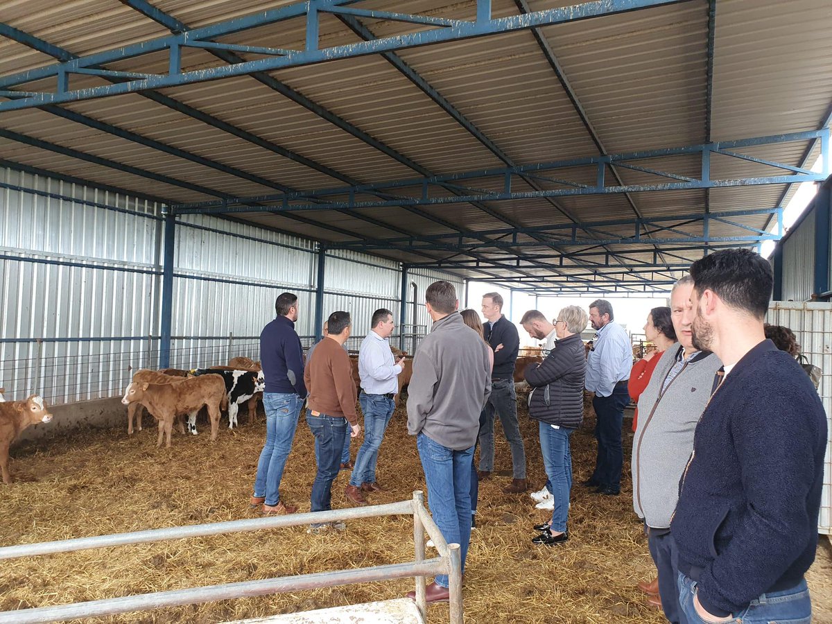 PoleAnimal_Coop's tweet photo. La semaine dernière se tenait à #Madrid les Rencontres 🇫🇷🇪🇸 du Bétail. L'occasion d'échanger avec nos homologues sur les maladies vectorielles et le #BEA dans une approche prospective de l'élevage 🐮🇪🇺.
@lacoopagricole y était représenté notamment par @PhilippeDUMAS42. https://t.co/Q0DVzxiOLR