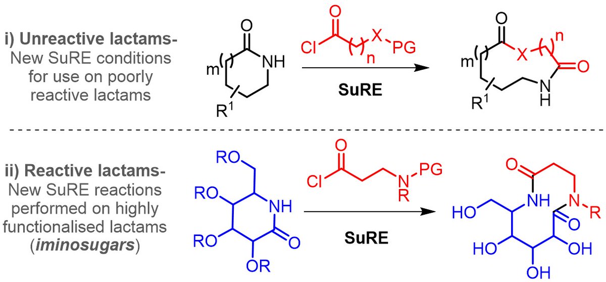 Paper just accepted @OrgBiomolChem! Expanding the scope of the 'Successive Ring Expansion' (SuRE) strategy to unprecedented macro-iminosugars Congrats to @UnsworthChem @HazelardDamien & all co-authors @LIMA_UMR7042 @ECPM_Unistra @CNRSchimie @ChemistryatYork @DCO_SCF @AlsaceScf