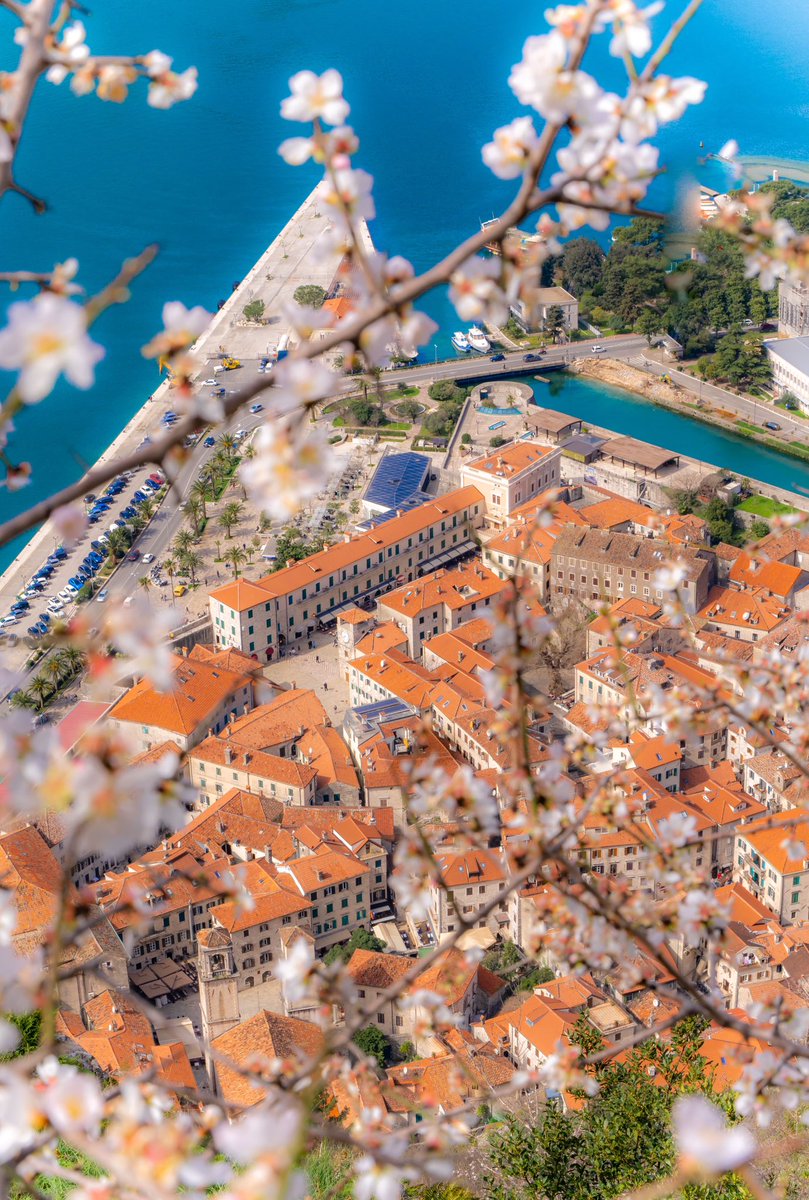 “Stiže proleće i žao mi je svih kojima to nije važno.”
– Duško Radović