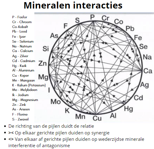 SunlightEmbassy's tweet photo. Er bestaat echter ook een mineralen synergie en een mineralen antagonisme https://t.co/uIZYBLyfYS