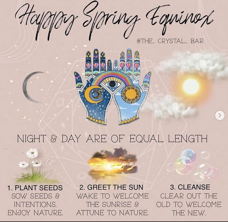 NessMakes (@nimsnest) on Twitter photo 