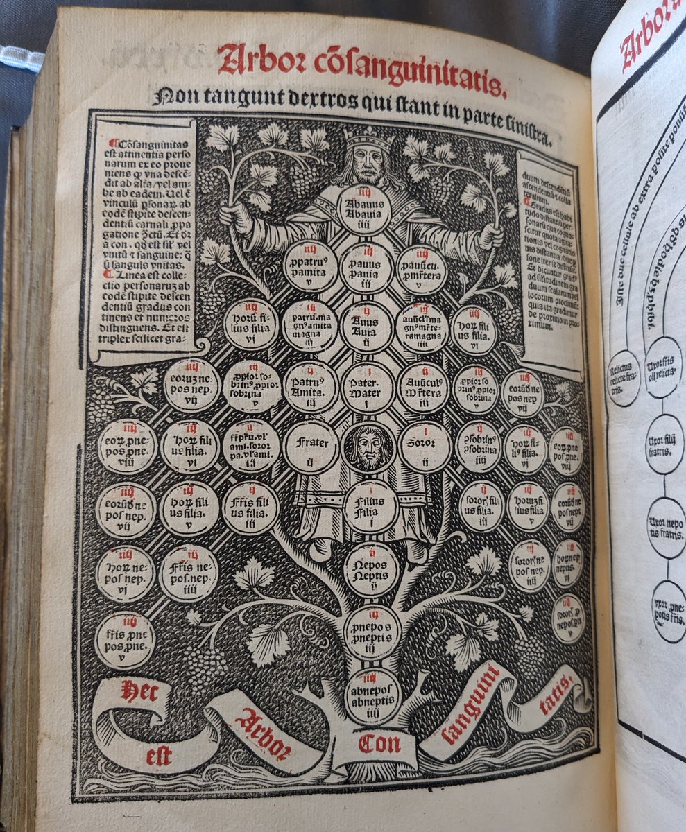 A family tree from 1506 #Genealogy #RareBooks