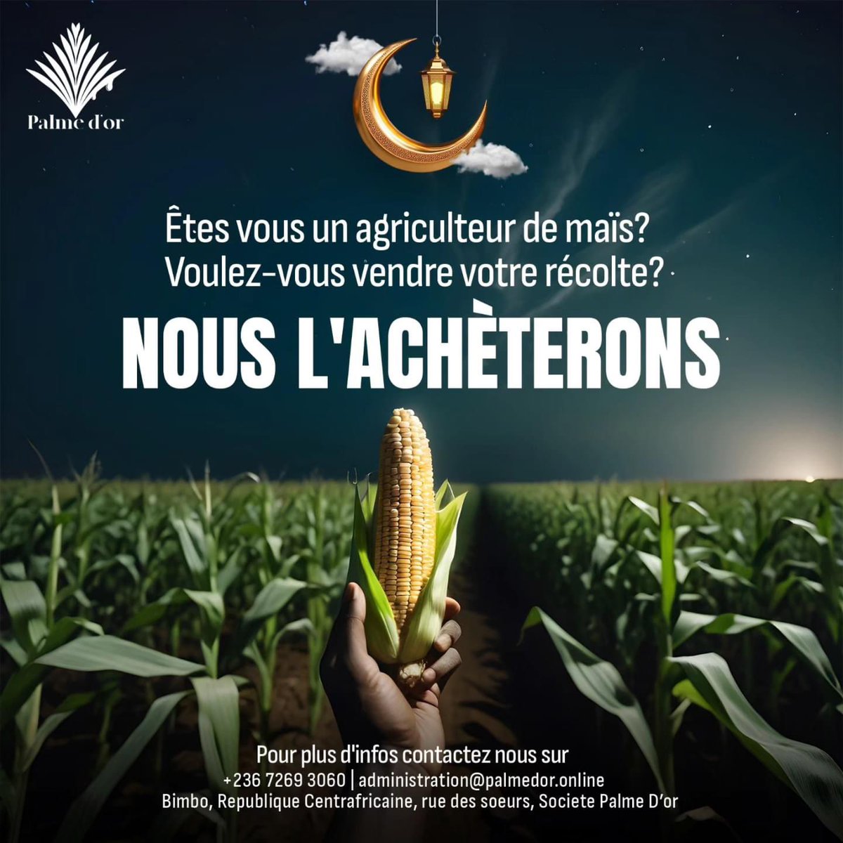 Désirez-vous vendre vos récoltes de maïs ?
𝙉𝙤𝙪𝙨 𝙨𝙤𝙢𝙢𝙚𝙨 𝙥𝙧ê𝙩𝙨 à 𝙡𝙚𝙨 𝙖𝙘𝙝𝙚𝙩𝙚𝙧 Contactez nous sur +236 7269 3060| administration@palmedor.online

#PalmeDor #PalmOil #centrafrique