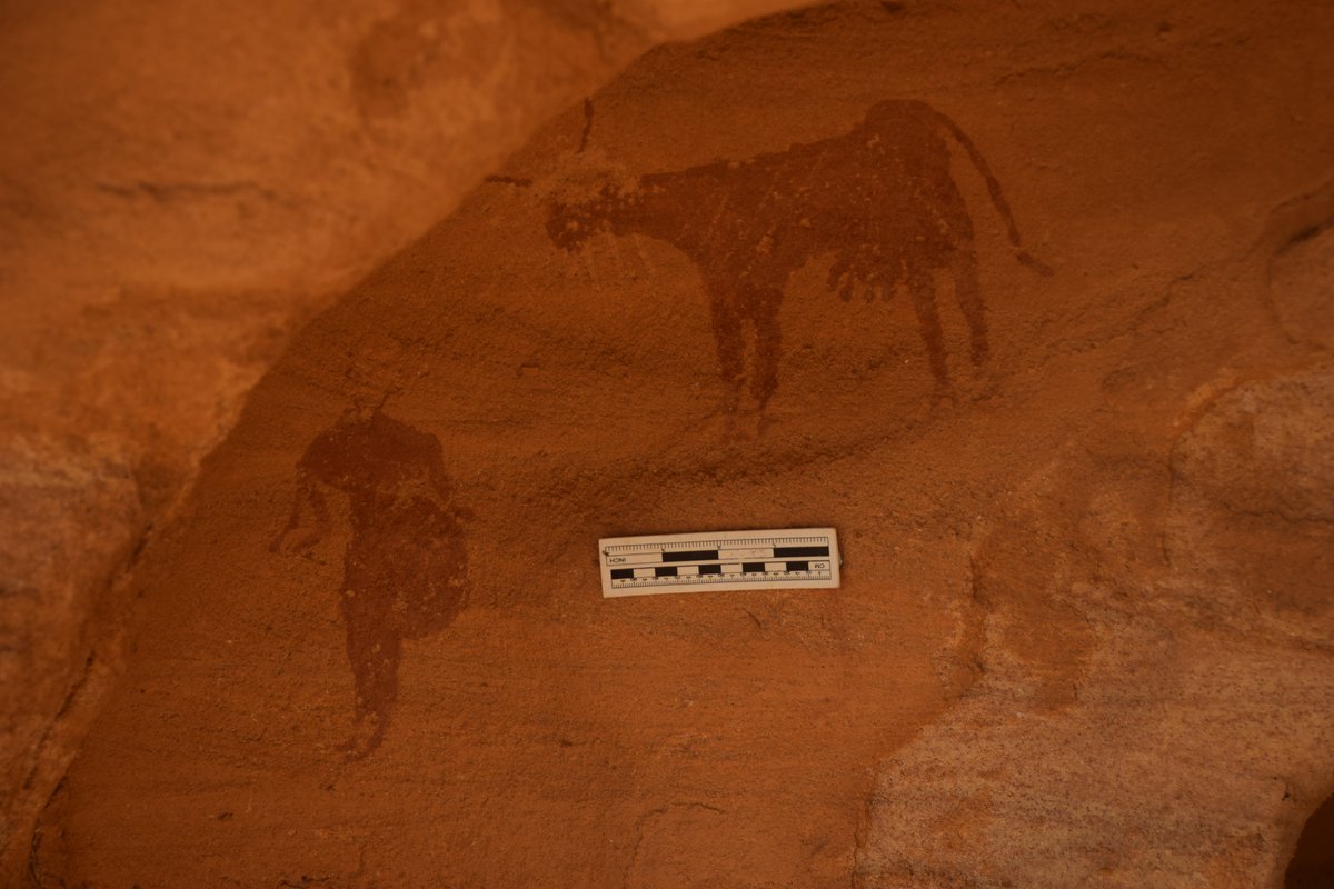 New open access article on unique rock art discoveries in Eastern Sudan (boats; painted cattle!) w/ Dorian Vanhulle. In JofEgyptian Archaeology <a href="/TheEES/">The Egypt Exploration Society</a>. doi.org/10.1177/030751…. #sudan #Archaeology #Egyptology -  thanks to NCAM, <a href="/Hozaifa_Magid/">Hozaifa Abdelmagid</a>