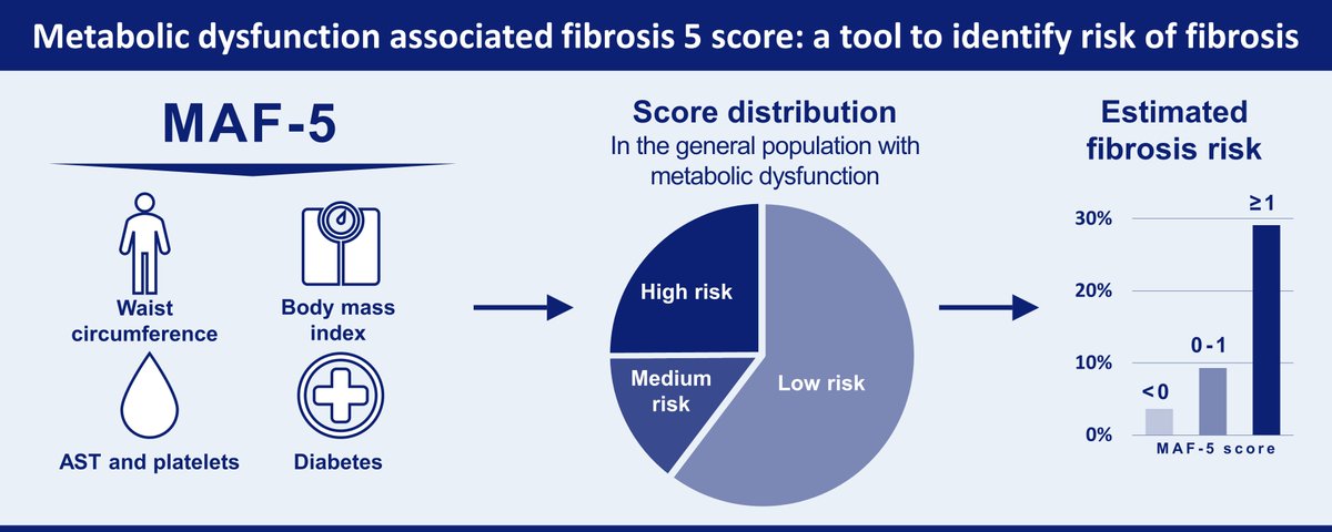 Check out our new MAF-5 liver fibrosis risk score for the general population with metabolic dysfunction!
This score outperforms existing scores such as FIB-4 and could be a game changer for clinical care pathways

gastrojournal.org/article/S0016-…

#Livertwitter <a href="/AmerGastroAssn/">American Gastroenterological Association (AGA)</a> <a href="/AGA_Gastro/">Gastroenterology</a>