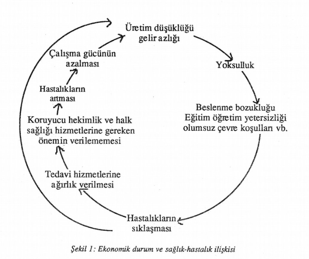 Edwin Chadwick ekonomik durum ile sağlık-hastalık ilişkisini şöyle özetlemiştir :