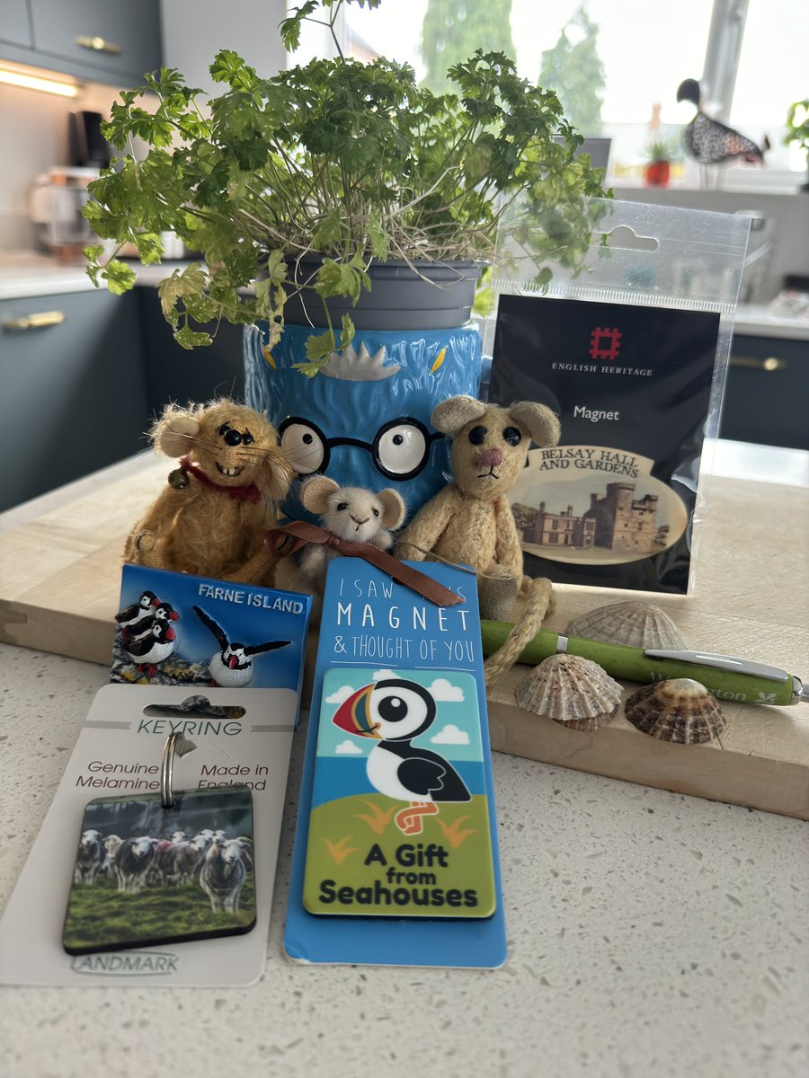 I shared my little presents with the gang. I av souvenirs from Baulmer (the shells), The Farne Islands, Seahouses (both of which feature in the PA’s book), Belsay & Wallington. I also as a sheepy souvenir. Nufink from @robsonandcowan despite my Royal visit 🤣🐭 @Titch_Sheep