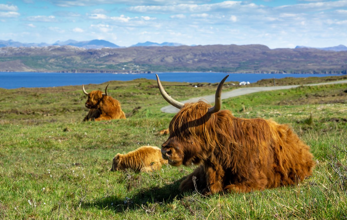 Could food and farming be part of an #ETS in 🇬🇧 in the future?🤔Would this benefit nature-friendly farmers with additional 💰 if effectively targeted? ✍️Read our blog produced by @BenTrelawney & @IEEP_eu colleagues @MJuliaBognar & @Krys_springer 👇👇 ieep.uk/news/eating-in…