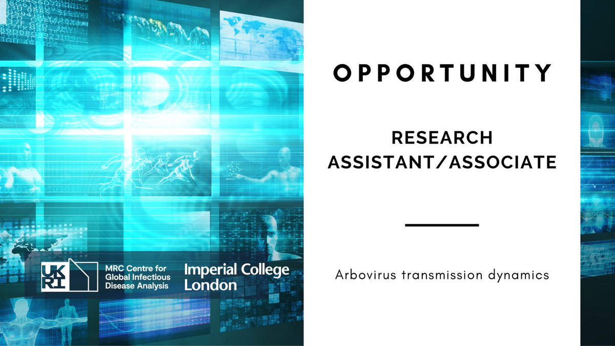 OPPORTUNITY! We are looking for a postdoctoral researcher to lead high quality research to better understand arbovirus transmission dynamics: 💼Research Assistant / Associate 🗓️ Closing date 03-04-2024 ✏️ Find out more & apply imperial.ac.uk/jobs/search-jo…