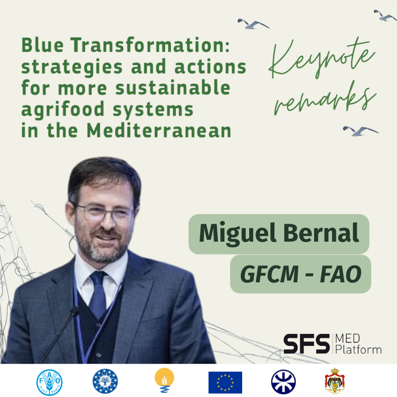 It is now time for Mr Miguel Bernal, Executive Secretary of the General Fisheries Commission for the Mediterranean (GFCM) at the FAO, to speak before the panel discussion begins.