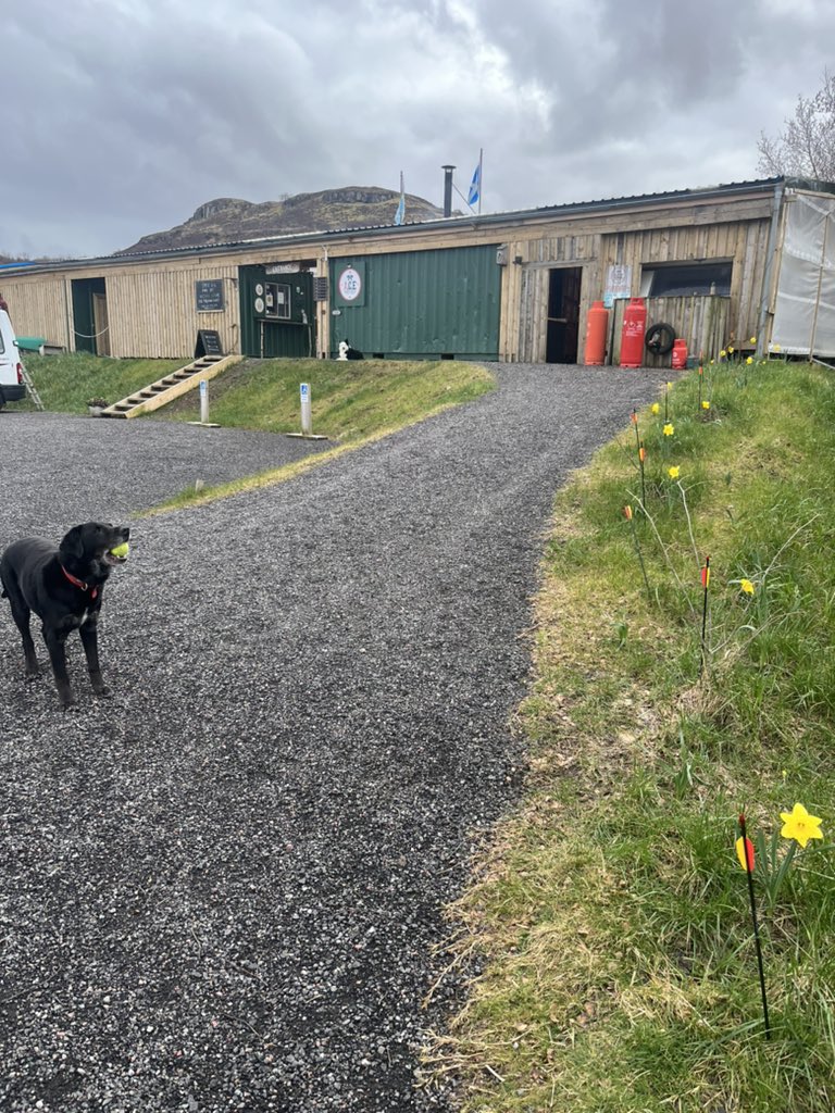 Spring has Sprung here at <a href="/acetargetsports/">A.C.E Target Sports & A.C.E Academy</a> @Blazespage