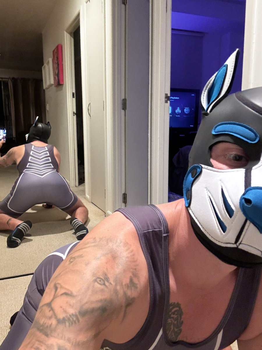Busterthepupnz's tweet photo. Happy hump day pups 🐶💙 #pup #pupplay #puphood #pups #pupnz #gaypup #humpday #getontop https://t.co/Yn75RuKt2d