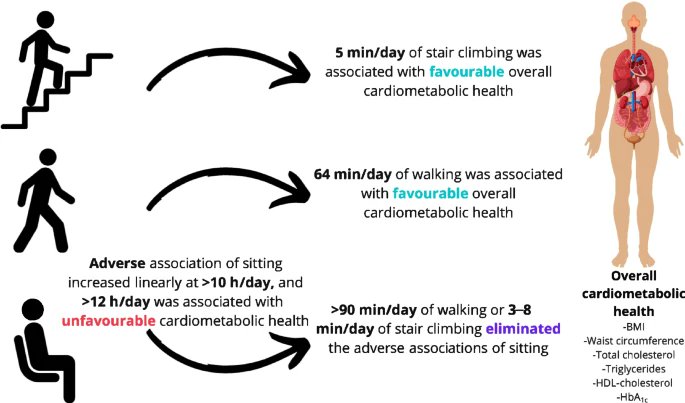 New publication @ProPASSconsort @DiabetologiaJnl >12.000 people, 6 cohort studies 💡5min/day #StairClimbing / 64min/day #walking ⬆️cardiometabolic health 💡3-8min/day #StairClimbing / >90min/day #walking eliminated adverse association of #SITTING rdcu.be/dBQTA