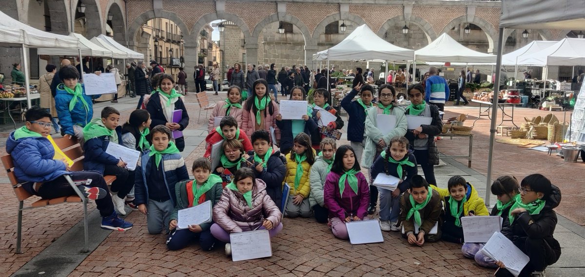 CEIP C. S. Albornoz tweet media