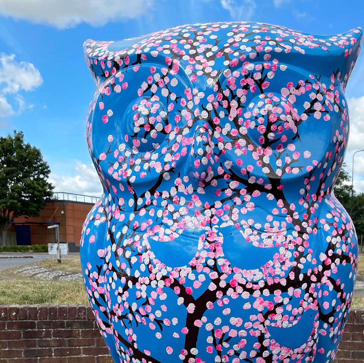 We’ve made it, happy first day of Spring 🌸 📷 Cherry Blossoming by Sharon Teague, The Big Hoot 2022