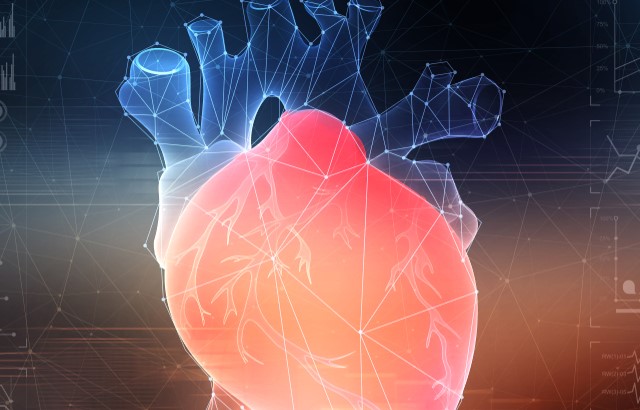 Congratulations to Cambridge Cardiovascular researcher Dr Tian Zhao & colleagues who will join forces with a team in the Netherlands to drive breakthroughs in heart and circulatory diseases research, thanks to @TheBHF, @Hartstichting and @dzhk_germany. bit.ly/3VoipK8